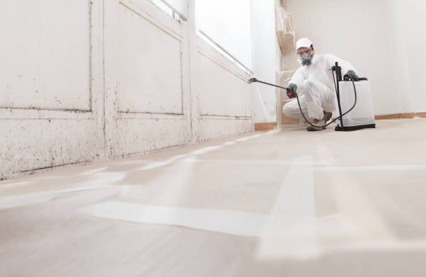 24/7 Emergency Basement Mold Remediation experts in Waynesboro, VA